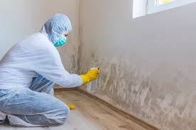 Why You Should Choose Our Mold Remediation Services in Waveland, MS